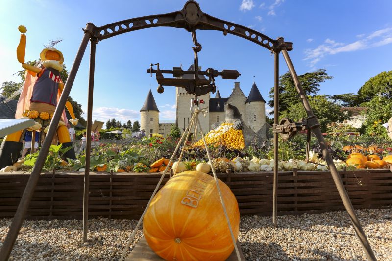 LA LOIRE & LA FÊTE DE LA CITROUILLE AU CHÂTEAU DE RIVEAU - 3 JOURS