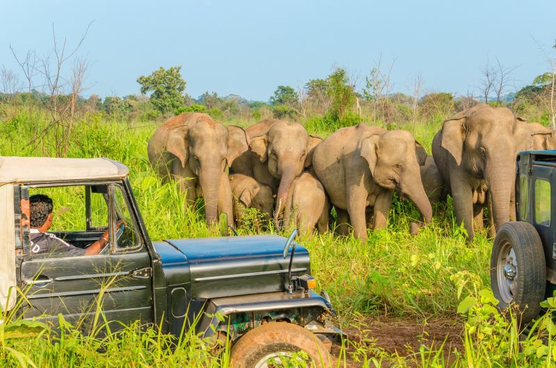 DECOUVERTE DU SRI LANKA 2024/2025